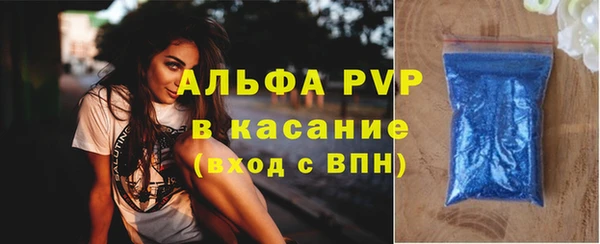 индика Козловка