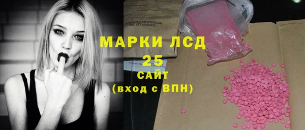 индика Козловка