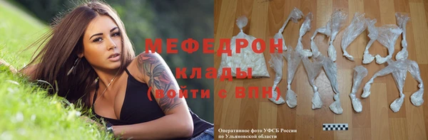индика Козловка