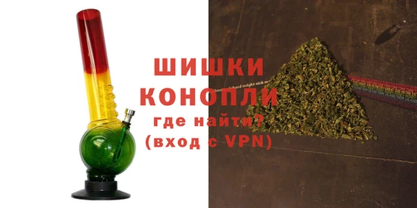 индика Козловка