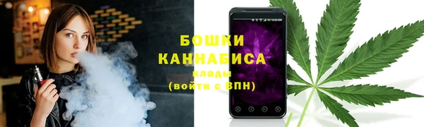 индика Козловка