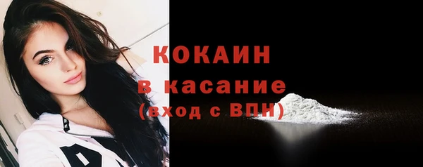 индика Козловка