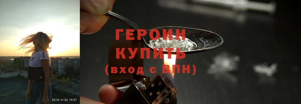 индика Козловка