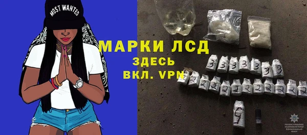 индика Козловка